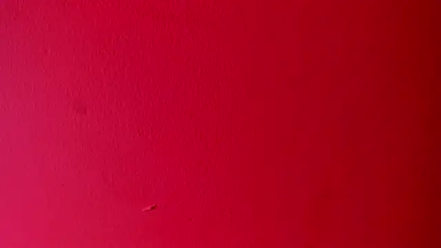 Charlotte_Bms7 Live XXX-chat