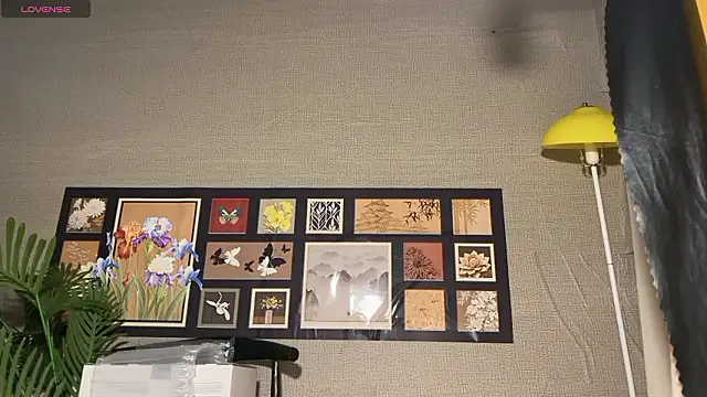 Živý XXX chat xiaosu22