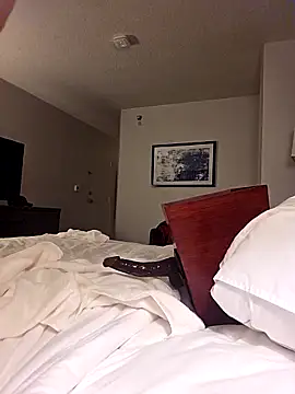 Show webcam de akstr8