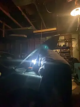 mrtattoo25 webcam show