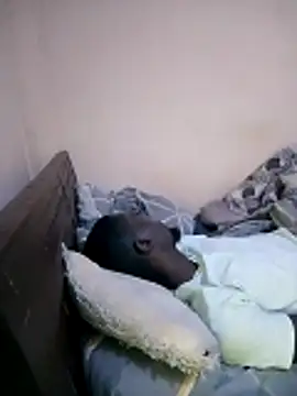 Brian_johns 라이브 XXX 채팅