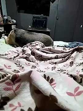 Show modela Galardon1 na web-kameri