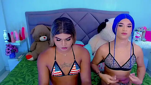 party_duo_trans Show Webcam