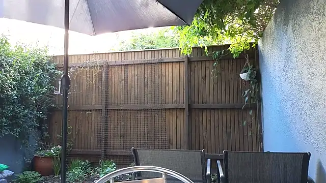 Онлайн чат XXX TopsyWilde