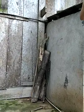 mit0-77 网络视讯表演