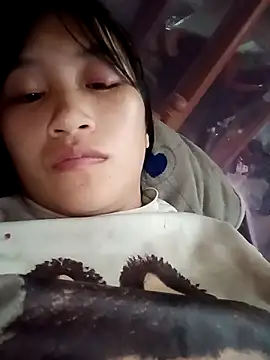 han-camx Show Webcam