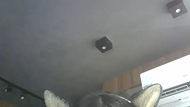 Show modela SkinnyKitten na web-kameri