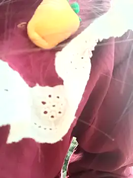 Mayly_lucky2 Adlı Modelin Canlı XXX Sohbeti