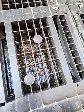 Hgay6935のライブXXXチャット