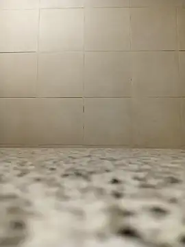 SADDLECOCK webcam show