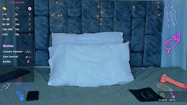 Show webcam de NicolasTorrez