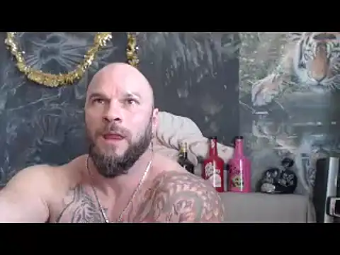 viking_30n Webbikameraesitys