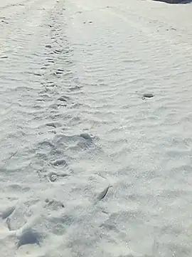 _uncle_Mitya-43_ – Naživo XXX chat