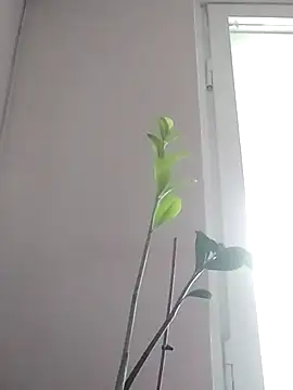 Nika_Malay Webcam-Show