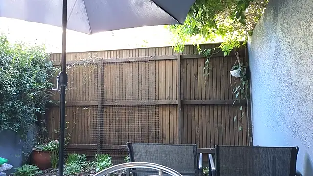 Czat XXX na żywo – TopsyWilde