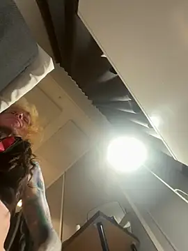 Show webcam de LeDame