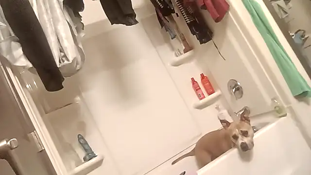 Pertunjukan Kamera Web SexyB214