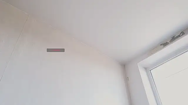 TechnoJesusのウェブカメラショー