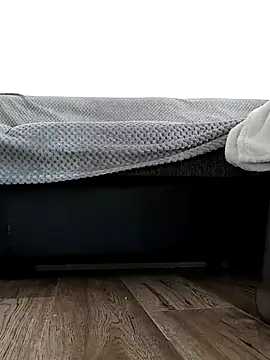 Viola_sweet_honey élő XXX-chatje