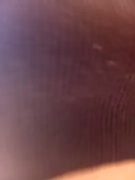 honeypot224 웹캠 쇼