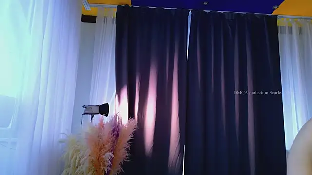 Scarlet_Muse_のウェブカメラショー