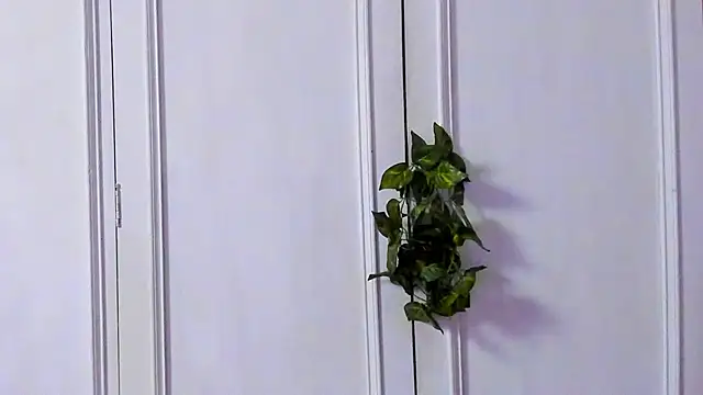 Chat XXX en directo de Tyler_durten