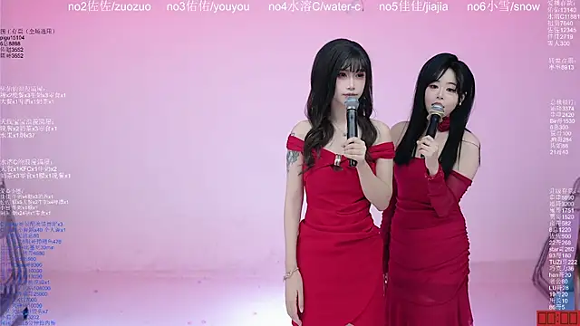 Show Webcam de ATY1314