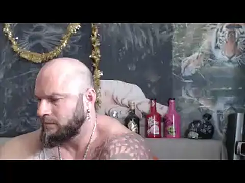 Show webcam de viking_30