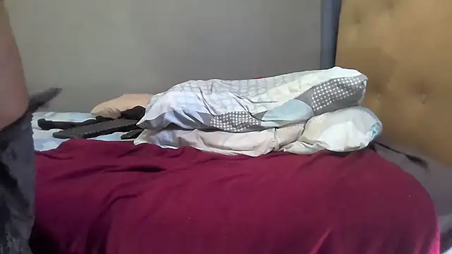 Sweetslender 现场XXX聊天