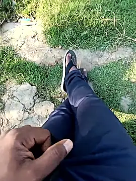 عرض كام dolphiinn