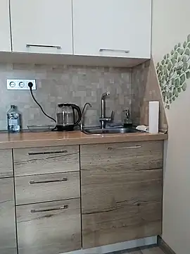 Онлайн чат XXX SalientClean