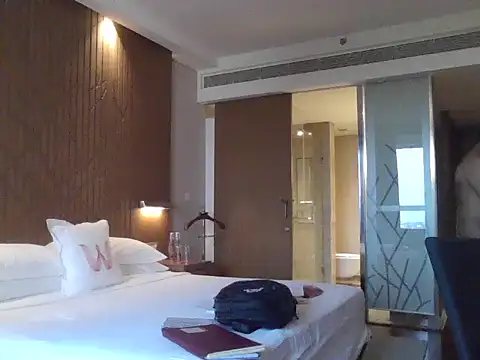 rarindam17 Webcamshow