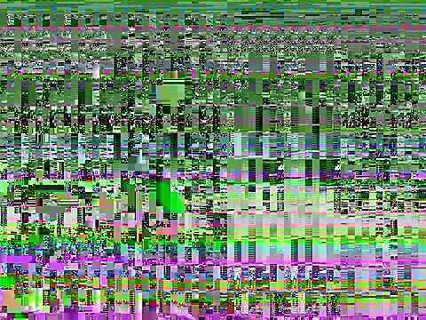 LeDame – webcam-show