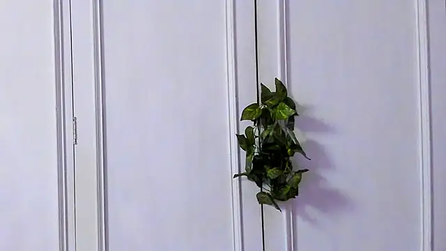 Tyler_durten: απευθείας συνομιλία ΧΧΧ