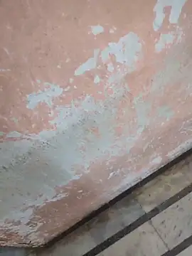 Chat XXX en directo de Tamillaxmi12