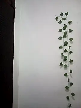 Landkipyasibhabhi: онлайн-секс-чат