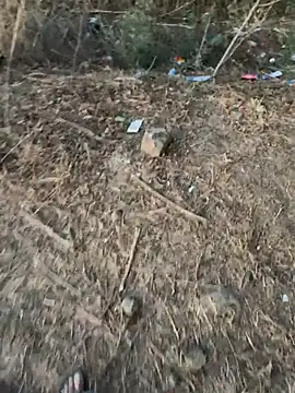 Miss__Malaika: διαδικτυακό σόου στην κάμερα