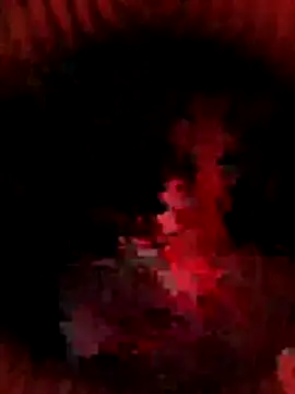 Dick_Flayer7n Webbikameraesitys