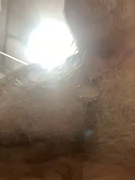 EroticVenetian Obrolan Langsung XXX