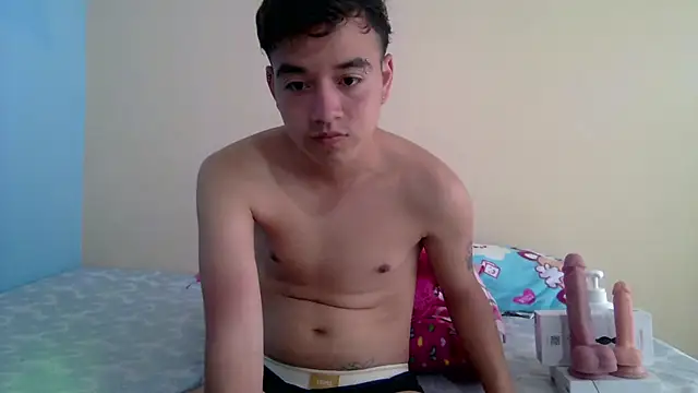 IronDanteのウェブカメラショー