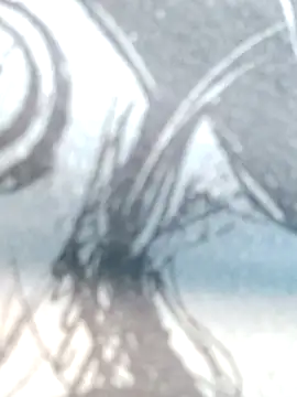 Molly_newman6 现场XXX聊天