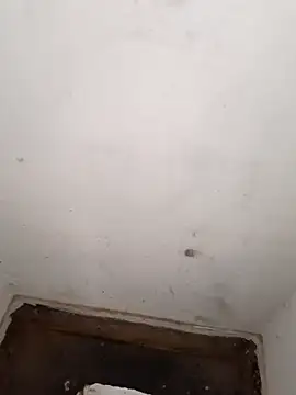 yaradayar ওয়েবক্যাম শো