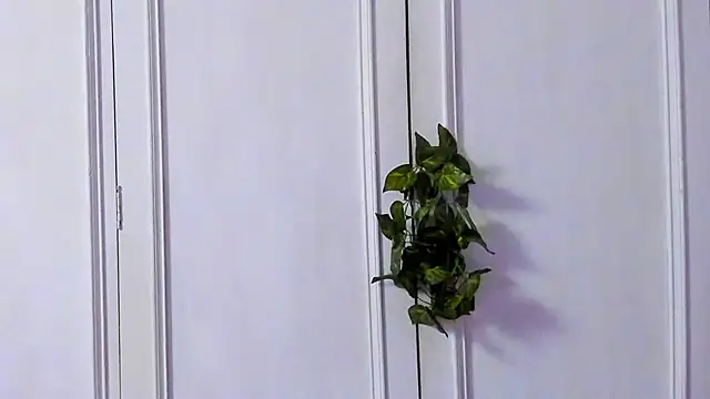 Tyler_durten 即時 XXX 聊天