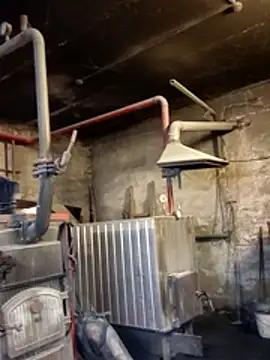 _uncle_Mitya-43_ élő XXX-chatje