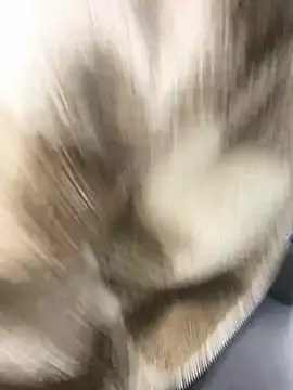 Anita-Smith: απευθείας συνομιλία ΧΧΧ