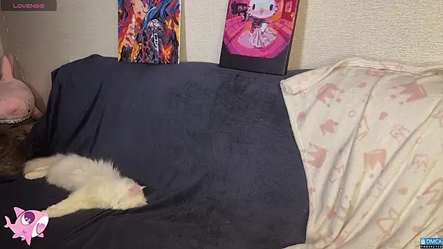 PinkSharky Chat XXX in diretta