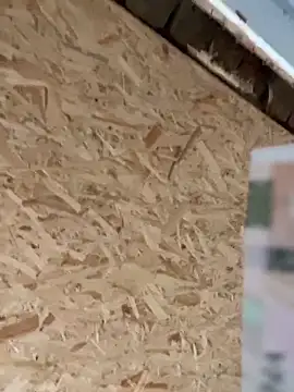 SweetCuteGirls1023 Webcam-Show