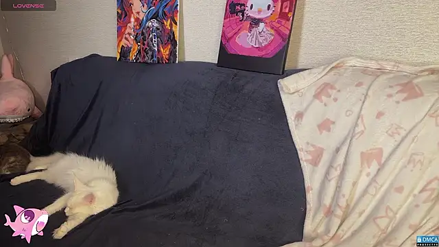 แชท XXX สดของ PinkSharky