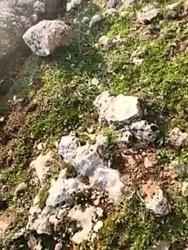 Sert_erkek21_ysm Adlı Modelin Web Kamerası Şovu