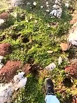 Sert_erkek21_ysm's Webcam Show